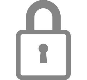 Safe icon