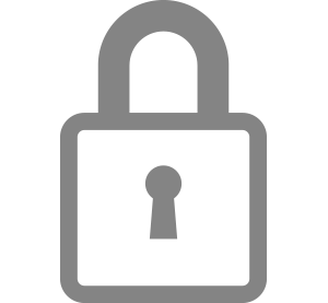Safe icon