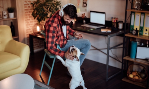 Young man petting a dog