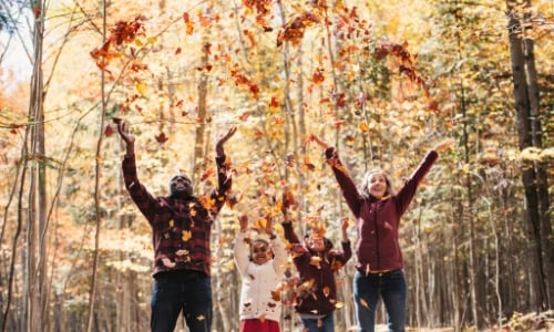 A family playing in a pile of leaves together