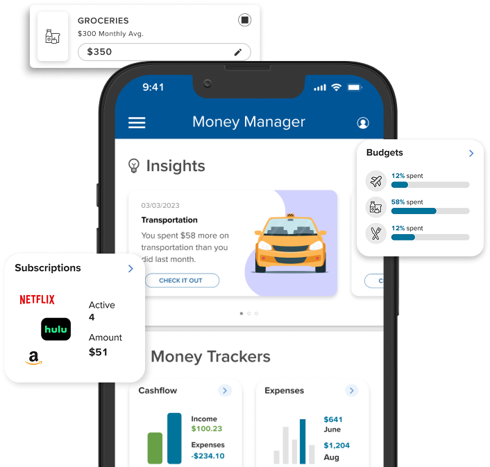 Money Manager UI