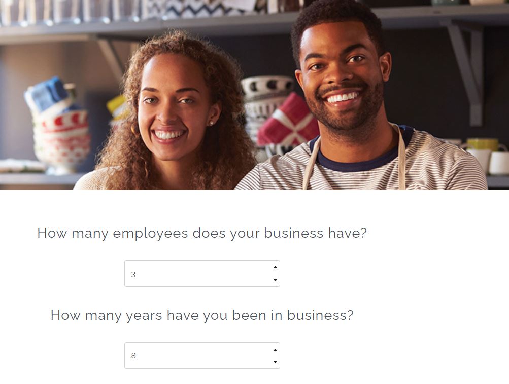 Snippet of the Business Analyzer Tool