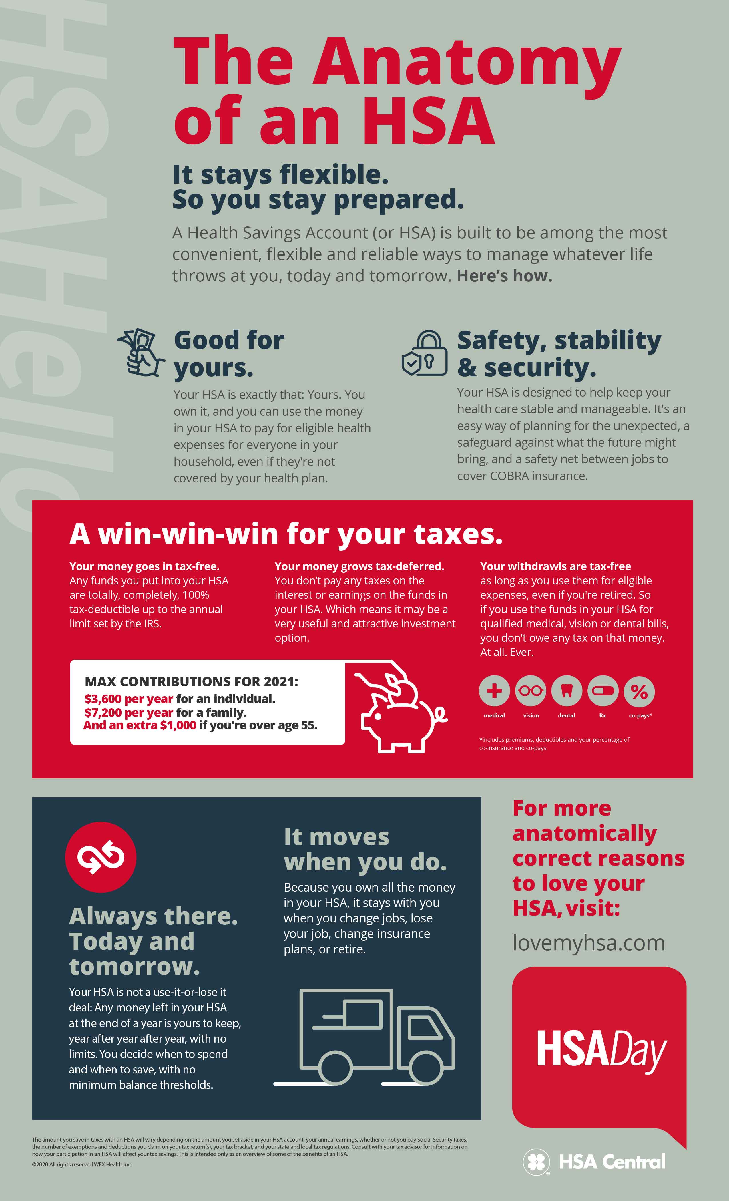 The Anatomy of an HSA Infographic Infographic for anatomy of an HSA